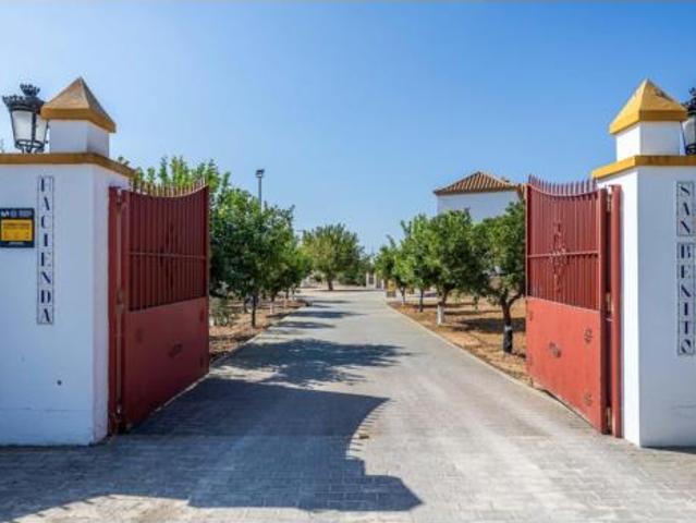 Finca rústica Venta Carmona, Carmona