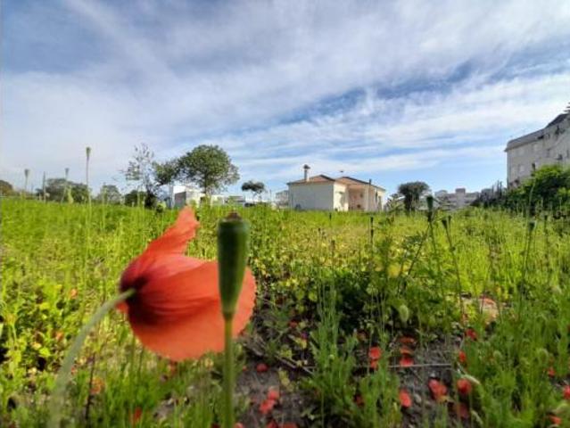 Finca rústica Venta Chipiona, La Laguna