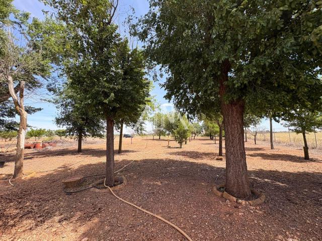 Finca Rústica Venta Ciudad Real