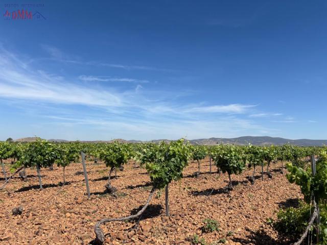 Finca Rústica Venta Ciudad Real