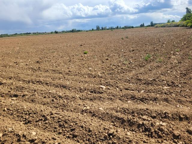 Finca Rústica Venta Ciudad Real