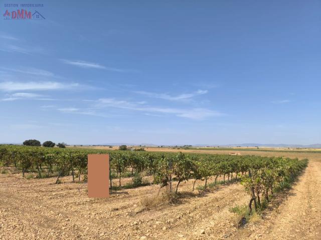 Finca Rústica Venta Ciudad Real