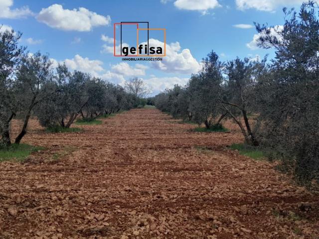 Finca Rústica Venta Ciudad Real