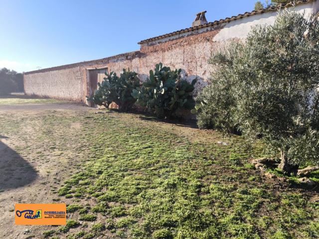Finca Rústica Venta Ciudad Real