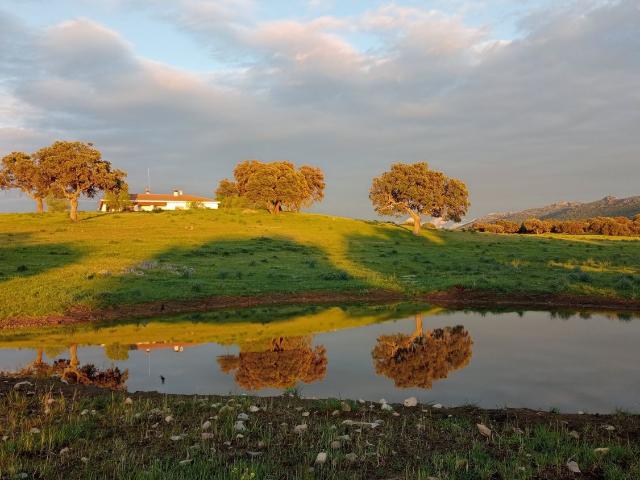 Finca Rústica Venta Ciudad Real