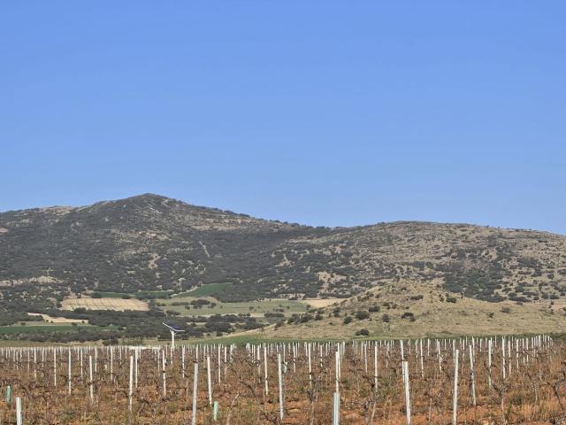 Finca Rústica Venta Ciudad Real