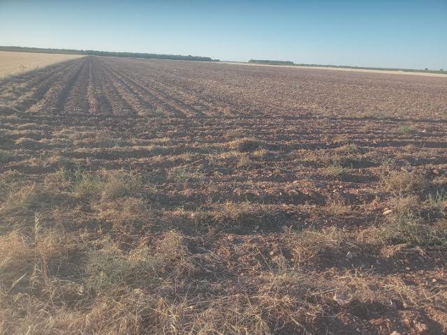 Finca Rústica Venta Ciudad Real