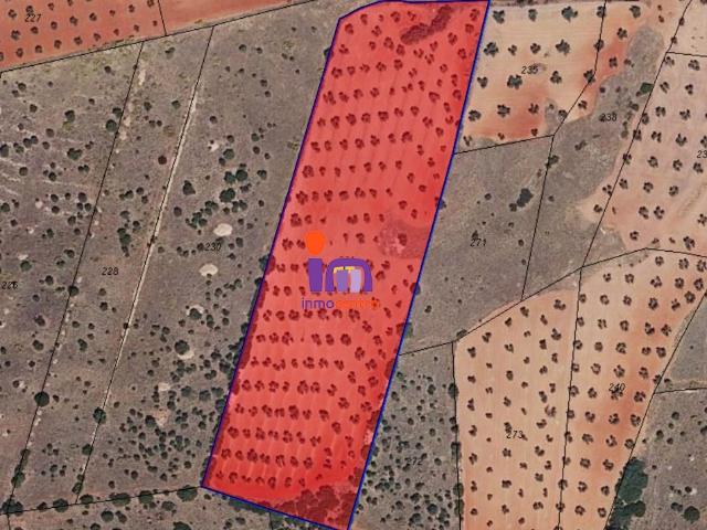 Finca Rústica Venta Ciudad Real