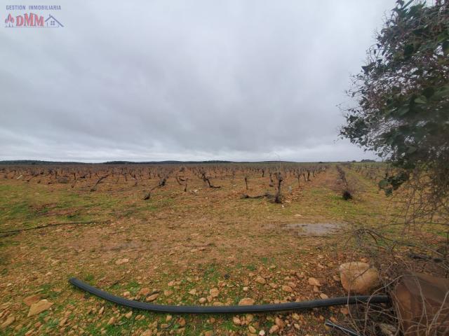 Finca Rústica Venta Ciudad Real