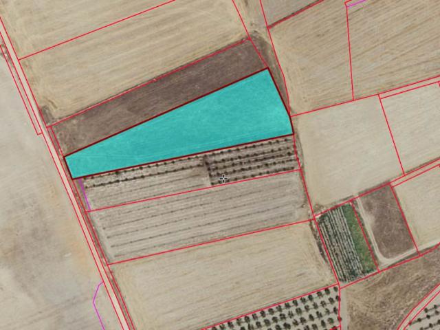 Finca Rústica Venta Ciudad Real