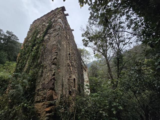 Finca Rústica Venta Girona