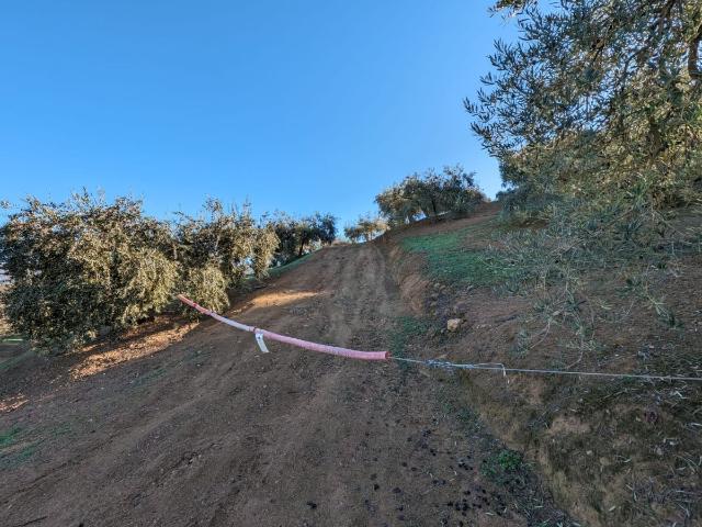 Finca Rústica Venta Granada