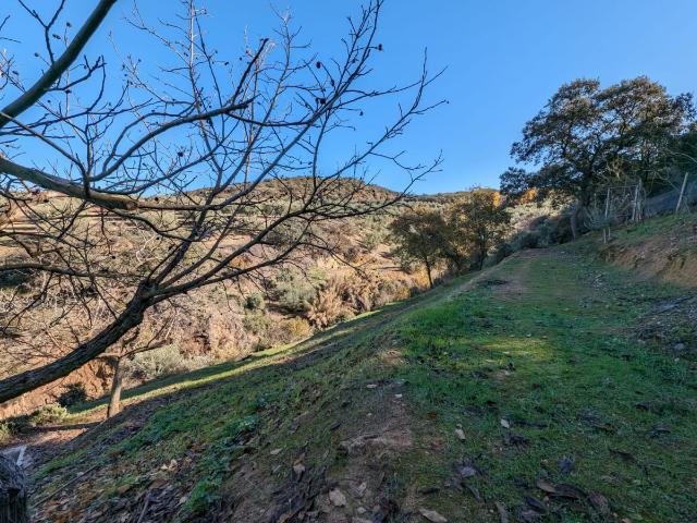 Finca Rústica Venta Granada