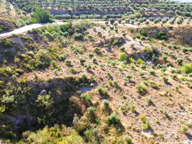 Finca Rústica Venta Granada