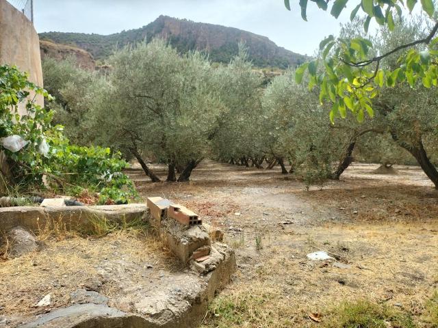 Finca Rústica Venta Granada