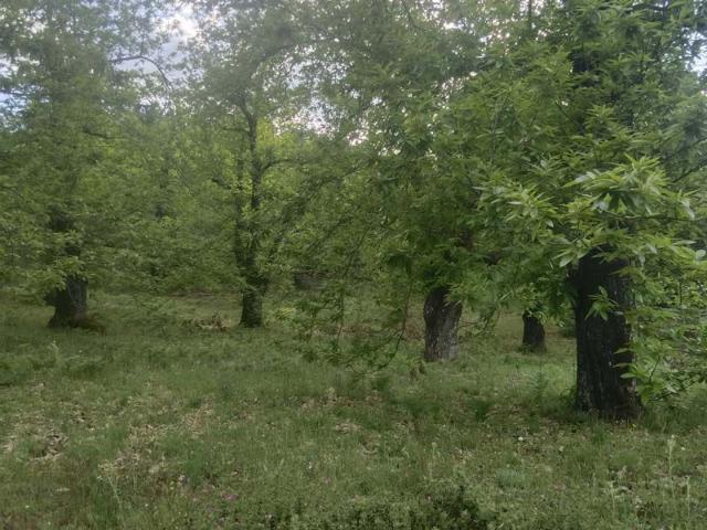 Finca Rústica Venta Huelva