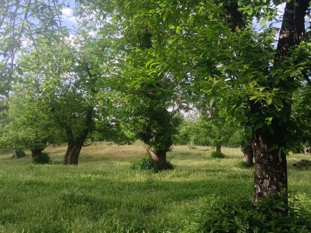 Finca Rústica Venta Huelva