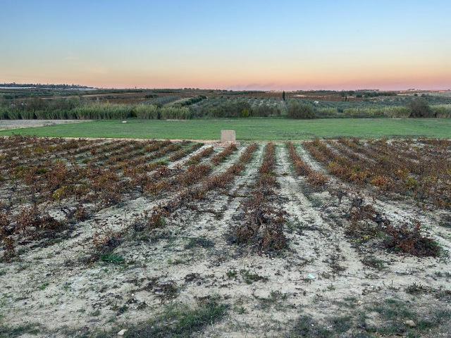 Finca Rústica Venta Huelva