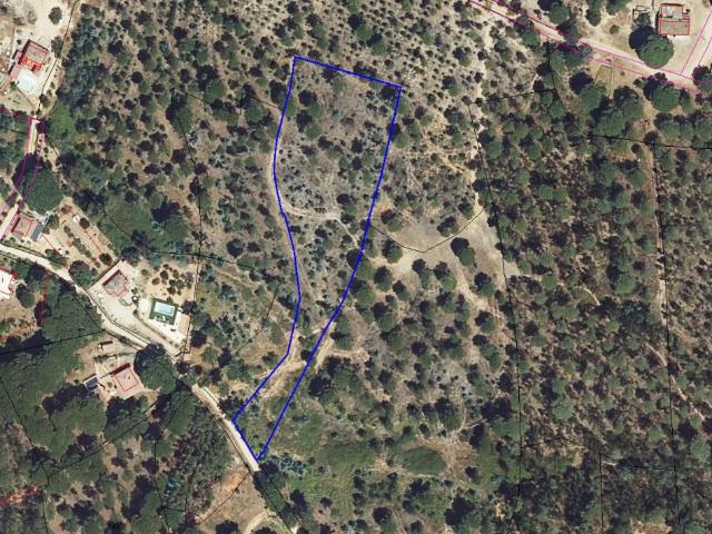 Finca Rústica Venta Huelva
