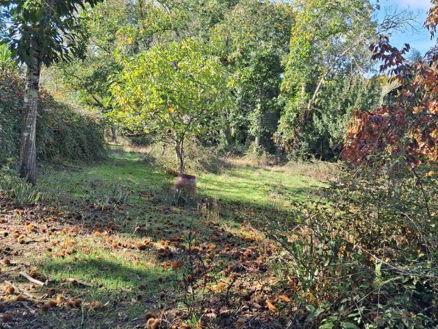 Finca Rústica Venta Huelva