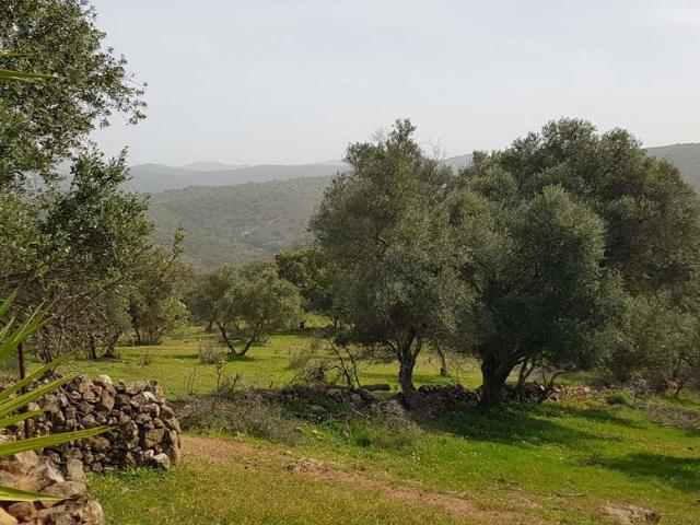 Finca Rústica Venta Huelva