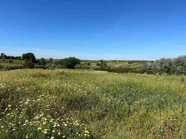 Finca Rústica Venta Huelva