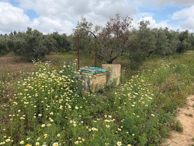 Finca Rústica Venta Huelva