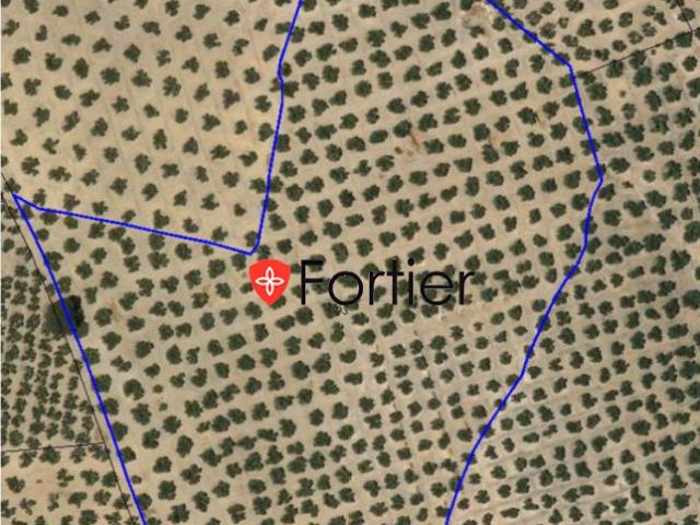 Finca Rústica Venta Jaén