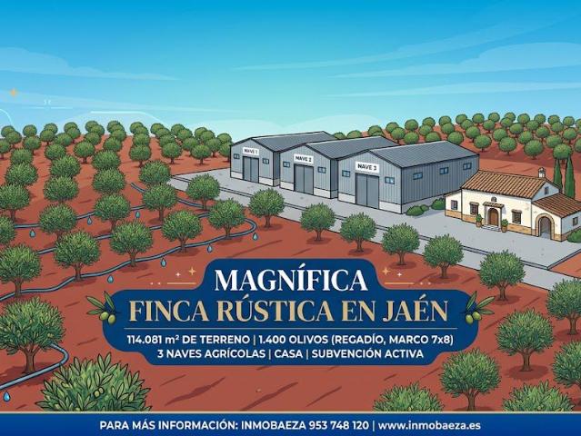 Finca Rústica Venta Jaén