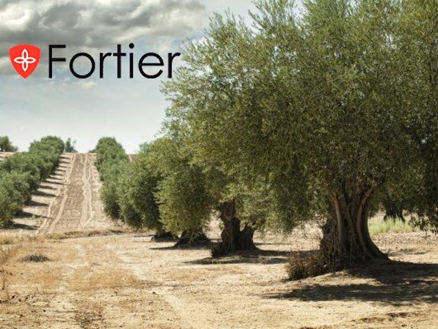 Finca Rústica Venta Jaén