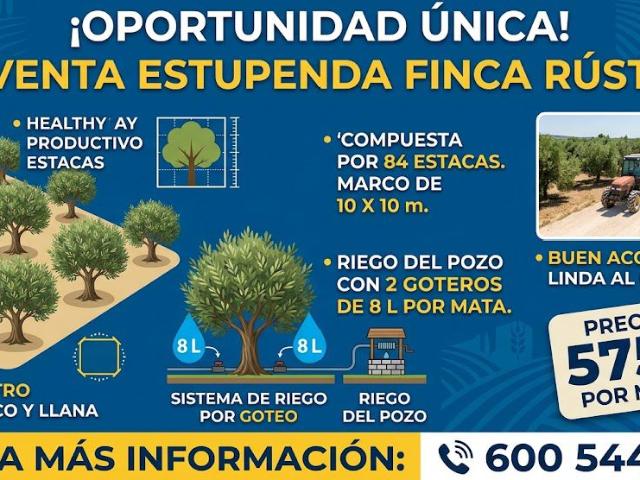 Finca Rústica Venta Jaén