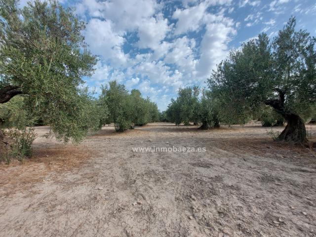 Finca Rústica Venta Jaén