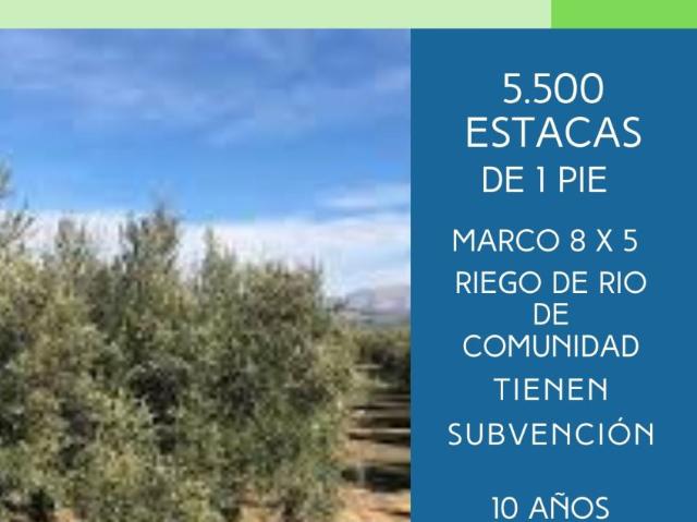 Finca Rústica Venta Jaén