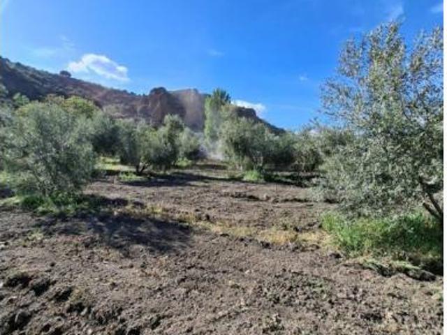 Finca rústica Venta La Peza, La Peza