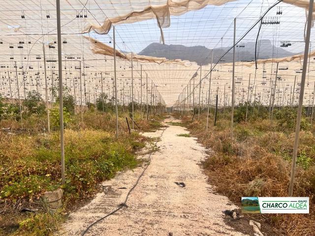 Finca Rústica Venta Las Palmas