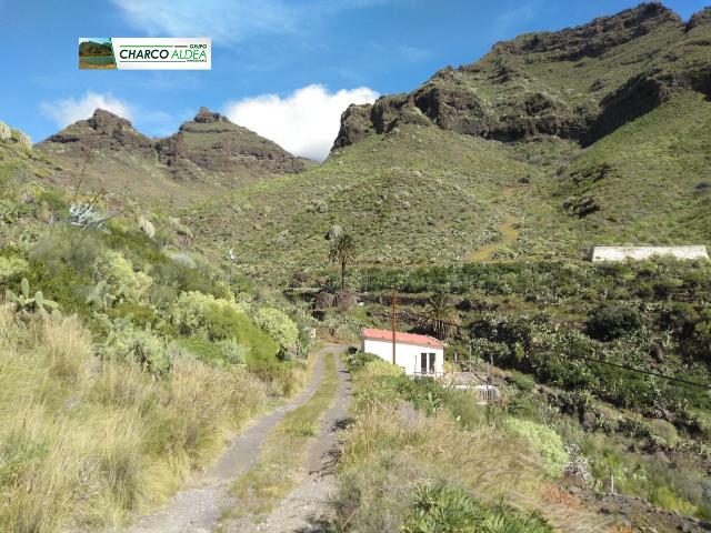 Finca Rústica Venta Las Palmas