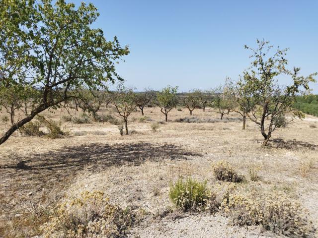 Finca Rústica Venta Lleida