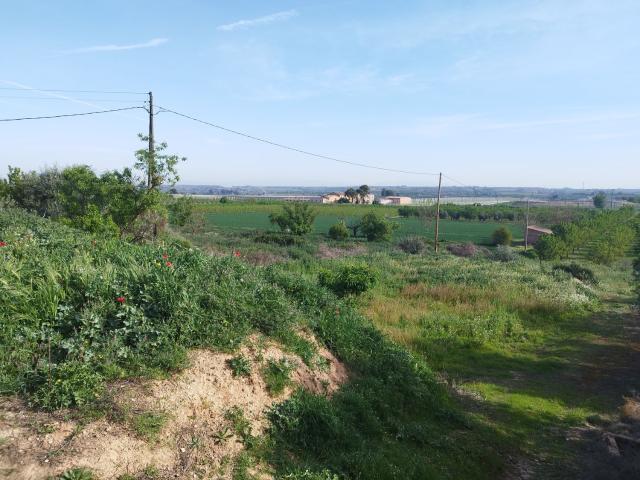 Finca Rústica Venta Lleida
