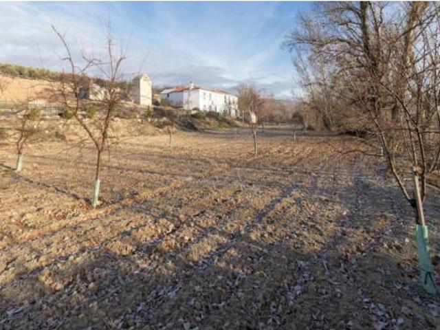 Finca rústica Venta Píñar, Piñar