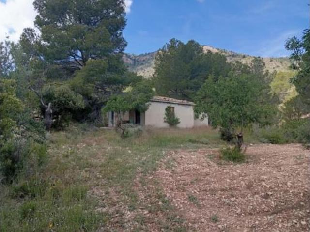 Finca rústica Venta Salinas, Salinas