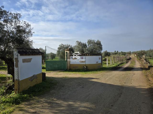 Finca Rústica Venta Sevilla