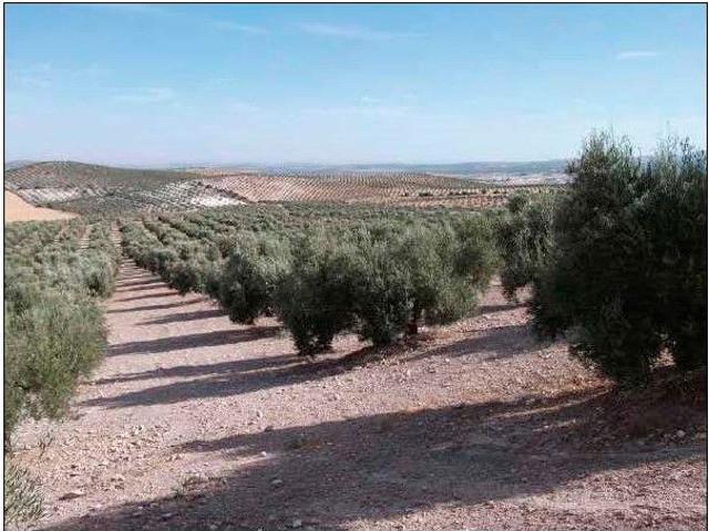 Finca Rústica Venta Sevilla