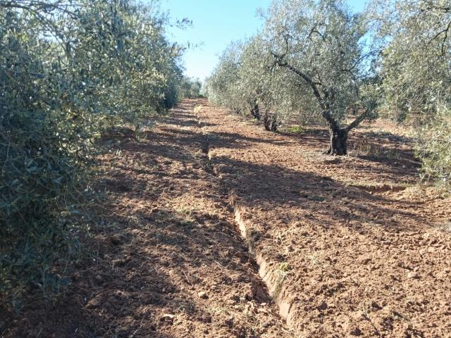 Finca Rústica Venta Sevilla