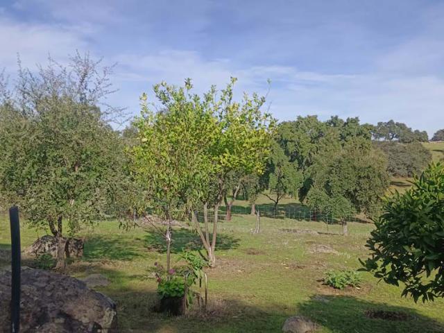 Finca Rústica Venta Sevilla