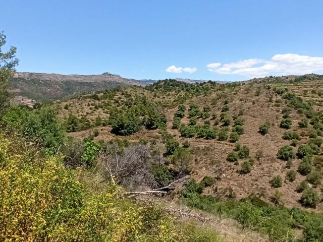 Finca Rústica Venta Tarragona