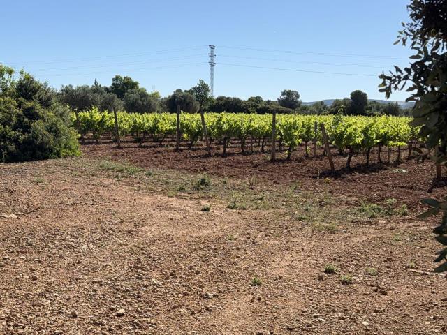 Finca Rústica Venta Tarragona