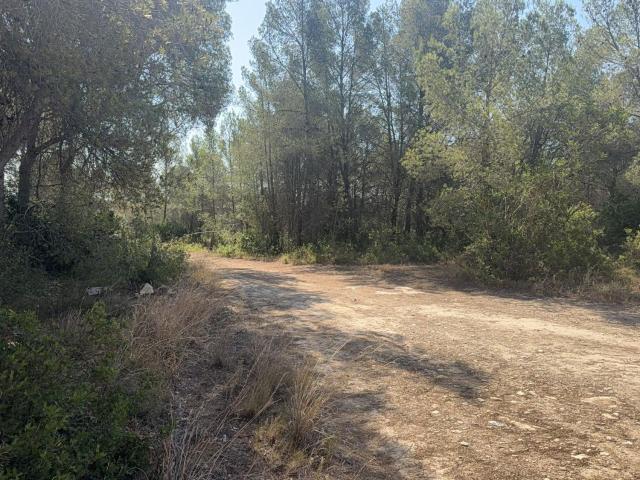 Finca Rústica Venta Tarragona