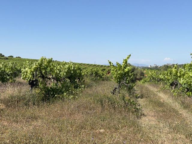 Finca Rústica Venta Tarragona
