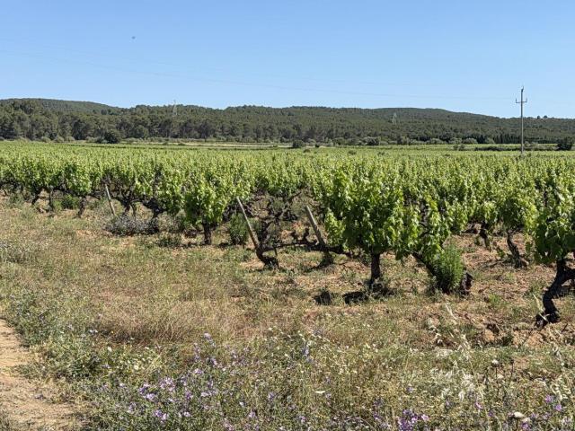 Finca Rústica Venta Tarragona