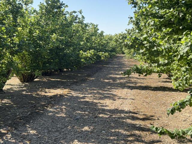 Finca Rústica Venta Tarragona